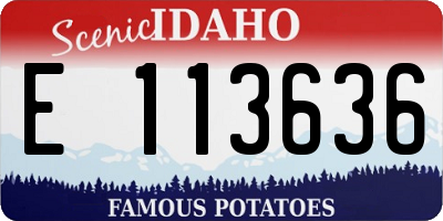 ID license plate E113636