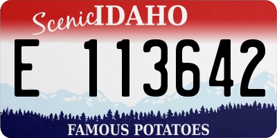 ID license plate E113642