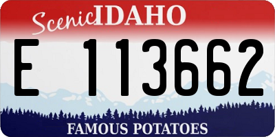 ID license plate E113662