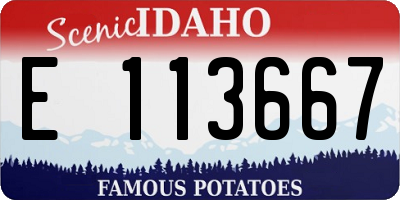 ID license plate E113667