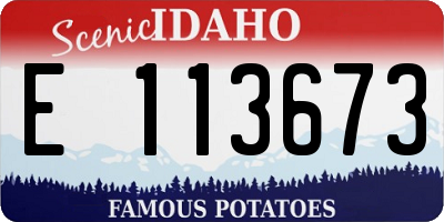ID license plate E113673