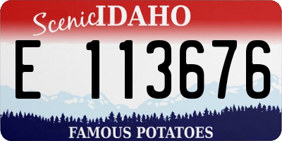 ID license plate E113676