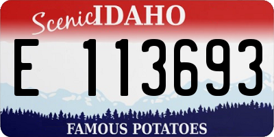 ID license plate E113693