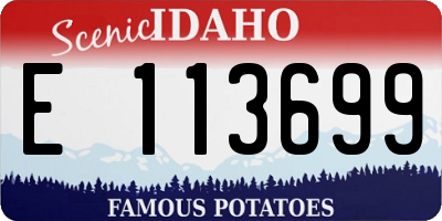 ID license plate E113699
