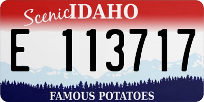 ID license plate E113717