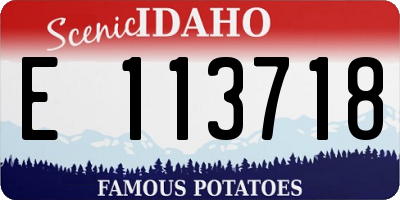 ID license plate E113718
