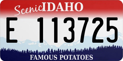 ID license plate E113725