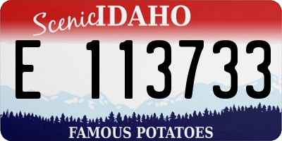 ID license plate E113733