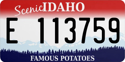 ID license plate E113759