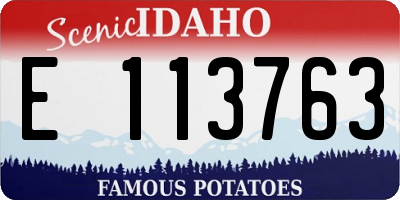 ID license plate E113763
