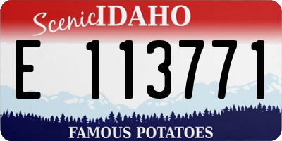 ID license plate E113771