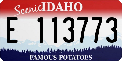 ID license plate E113773