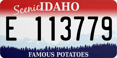 ID license plate E113779