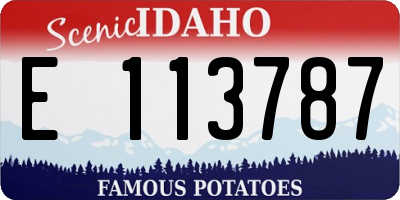 ID license plate E113787