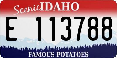 ID license plate E113788