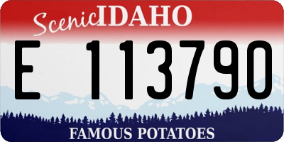 ID license plate E113790
