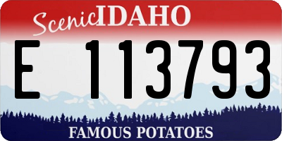 ID license plate E113793
