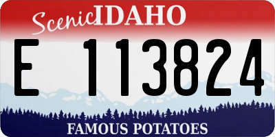 ID license plate E113824
