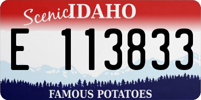 ID license plate E113833