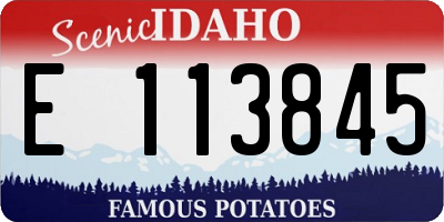 ID license plate E113845