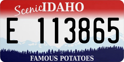 ID license plate E113865