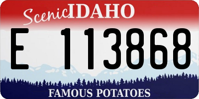 ID license plate E113868