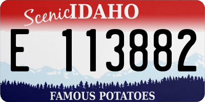 ID license plate E113882
