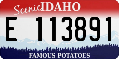 ID license plate E113891