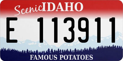 ID license plate E113911