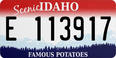 ID license plate E113917