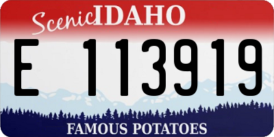 ID license plate E113919