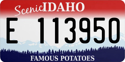 ID license plate E113950
