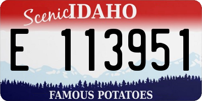 ID license plate E113951