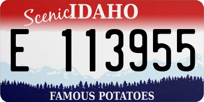 ID license plate E113955