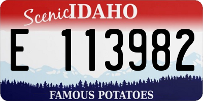 ID license plate E113982