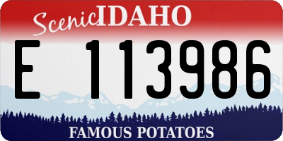 ID license plate E113986