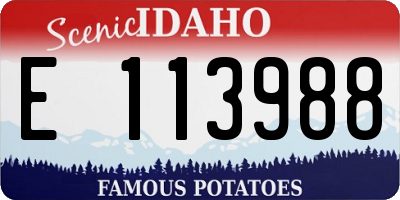 ID license plate E113988
