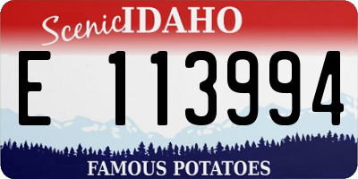 ID license plate E113994
