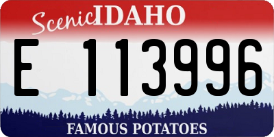 ID license plate E113996