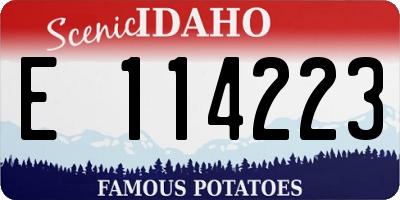 ID license plate E114223