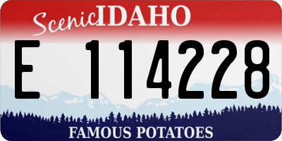 ID license plate E114228