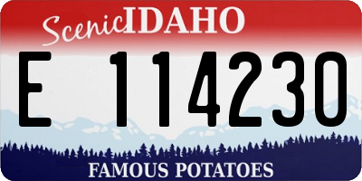 ID license plate E114230