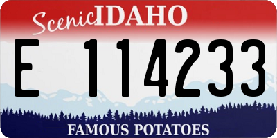 ID license plate E114233