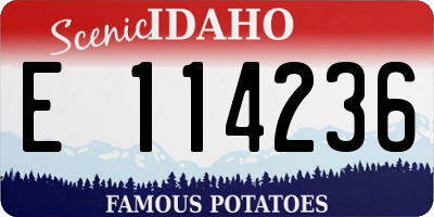 ID license plate E114236