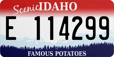 ID license plate E114299