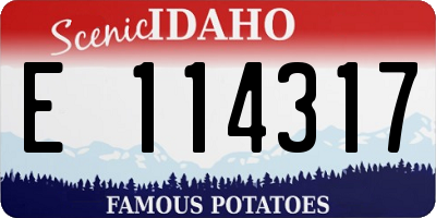 ID license plate E114317
