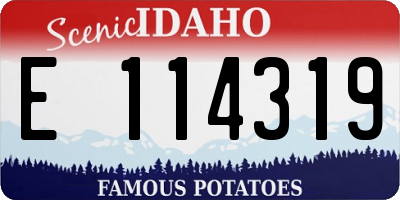 ID license plate E114319