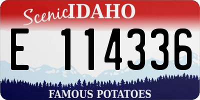 ID license plate E114336