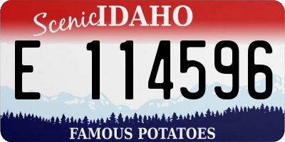 ID license plate E114596
