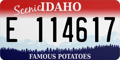 ID license plate E114617